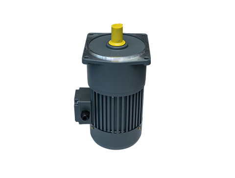 中型减速电机GV立式2200W